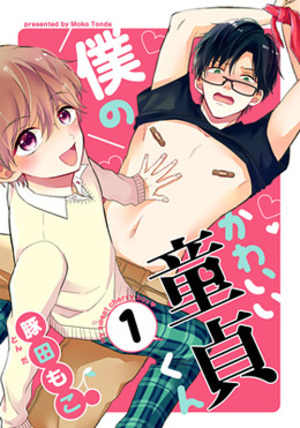 我的可爱处男家教,我的可爱处男家教漫画